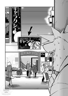 第 3 頁