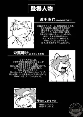 第 3 頁