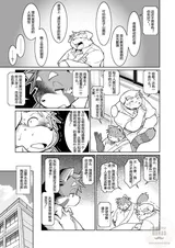 第 6 頁