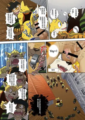 第 5 頁