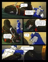 第 6 頁
