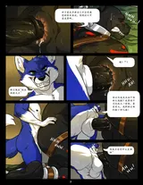 第 7 頁