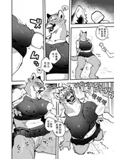 第 6 頁