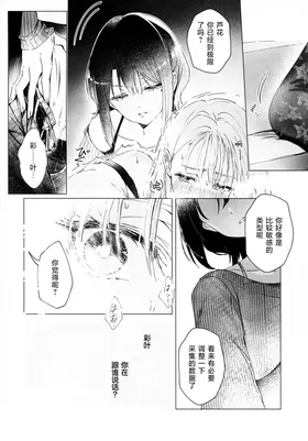 第 6 頁