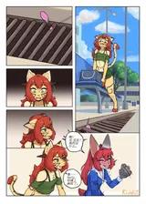 第 5 頁