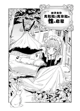 第 5 頁