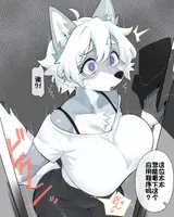 第 3 頁