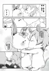 第 5 頁