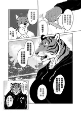 第 7 頁