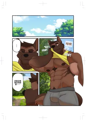 第 4 页
