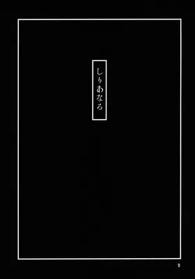 第 2 頁