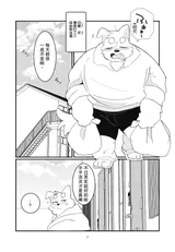 第 7 頁