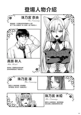 第 3 頁