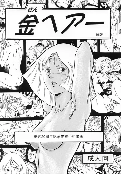 Kin Hair kaitei ban (Mobile Suit Gundam)