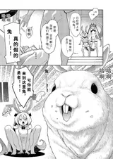 第 8 頁