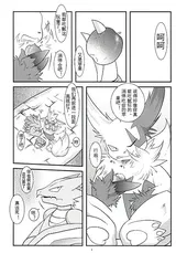 第 6 頁