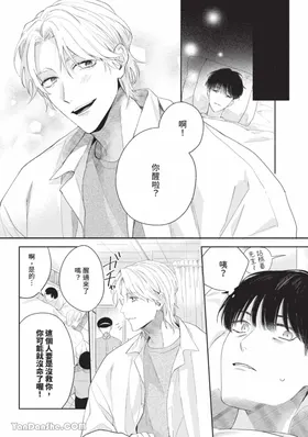 第 7 頁