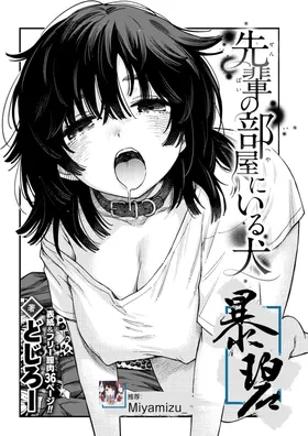 Senpai no Heya ni Iru Inu | 学长房间里的狗