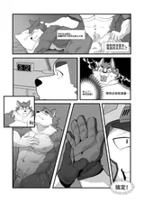第 6 頁