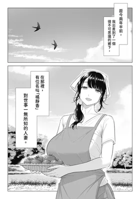 第 3 頁