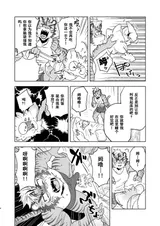 第 4 頁