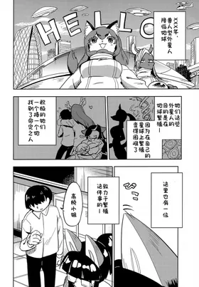 第 3 頁