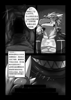 第 5 頁