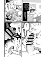 第 8 頁
