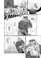 第 3 頁