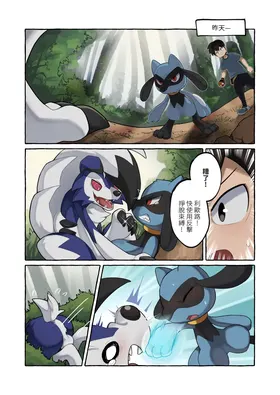 第 4 页