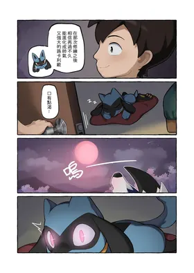 第 5 页