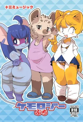 Kemology Petit