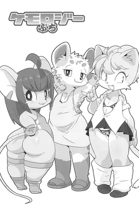 第 5 頁