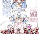 第 3 頁