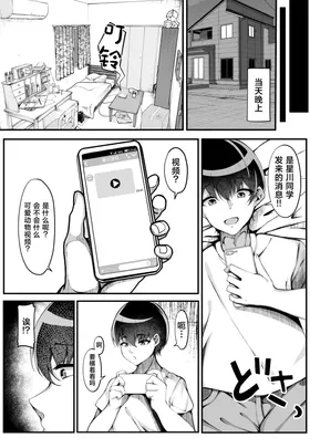 第 5 頁