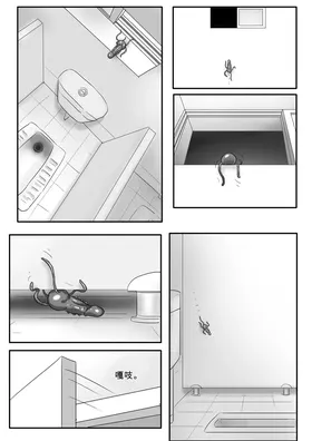 第 8 頁