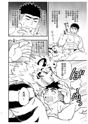 第 8 页