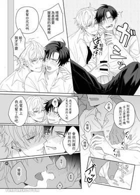 第 7 頁