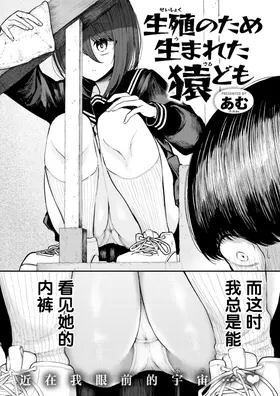 第 2 頁