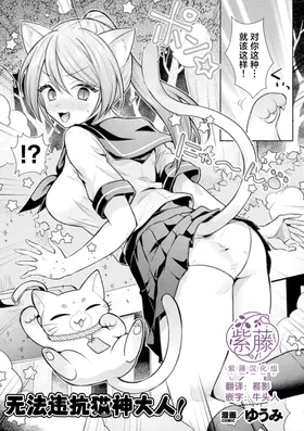 Nekogami-sama no Iu Toori! | 无法违抗猫神大人