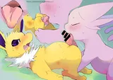 第 6 頁
