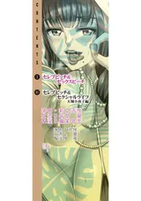 第 3 頁
