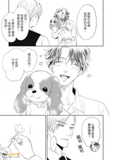 第 8 頁