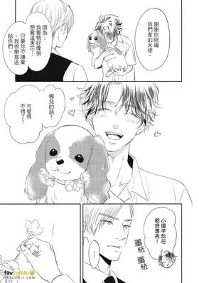 第 8 頁