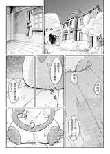 第 4 頁