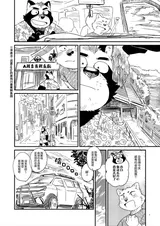 第 5 頁