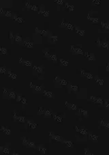 第 2 頁