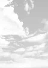 第 2 頁