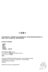 第 3 頁