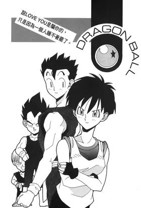 第 2 頁